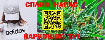тгк Кингисепп
