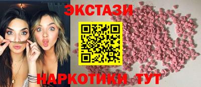 тгк Кингисепп