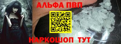 тгк Кингисепп