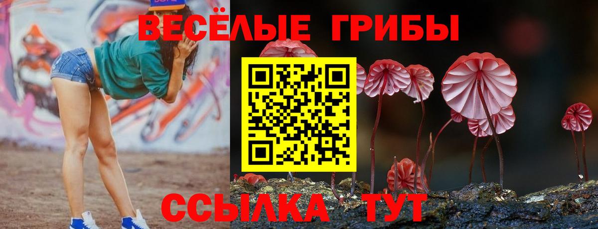 Курчатов  Галлюциногенные грибы мицелий  Вход с VPN 